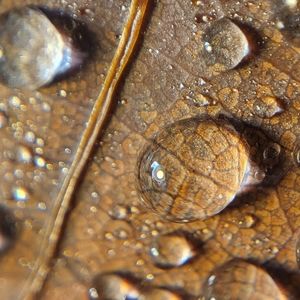 Meet your Posher, Kathleen